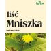 Mniszek liść 50g Flos