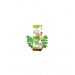 Olej Moringa 50ml Etja