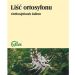 Ortosyfon liść 50g Flos